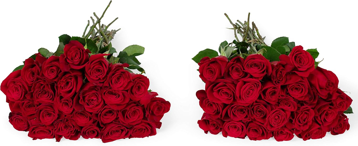 Benchmark Bouquets, 50 Stems of Red Roses, Vase Not Included, Gift Fresh Flowers for Birthday, Ev... | Amazon (US)