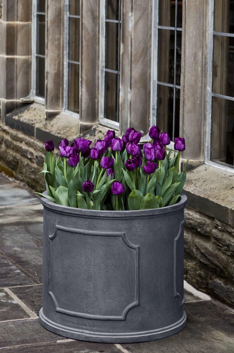 Dyer Handmade Pot Planter | Wayfair North America