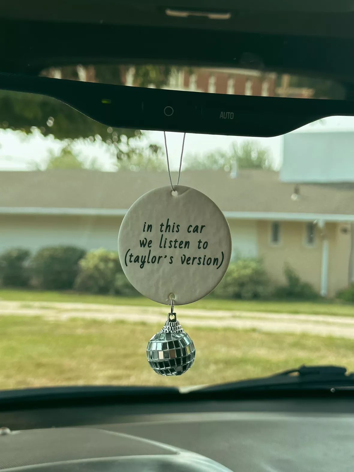 Taylor Swift You Need to Calm Down Car Mirror Accessories and