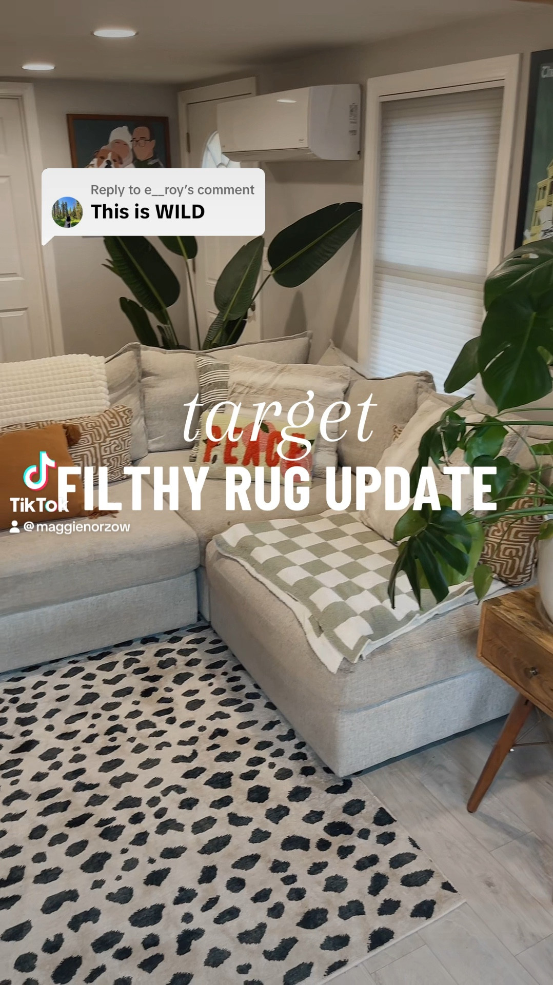 Cheetah Print Rug From Target