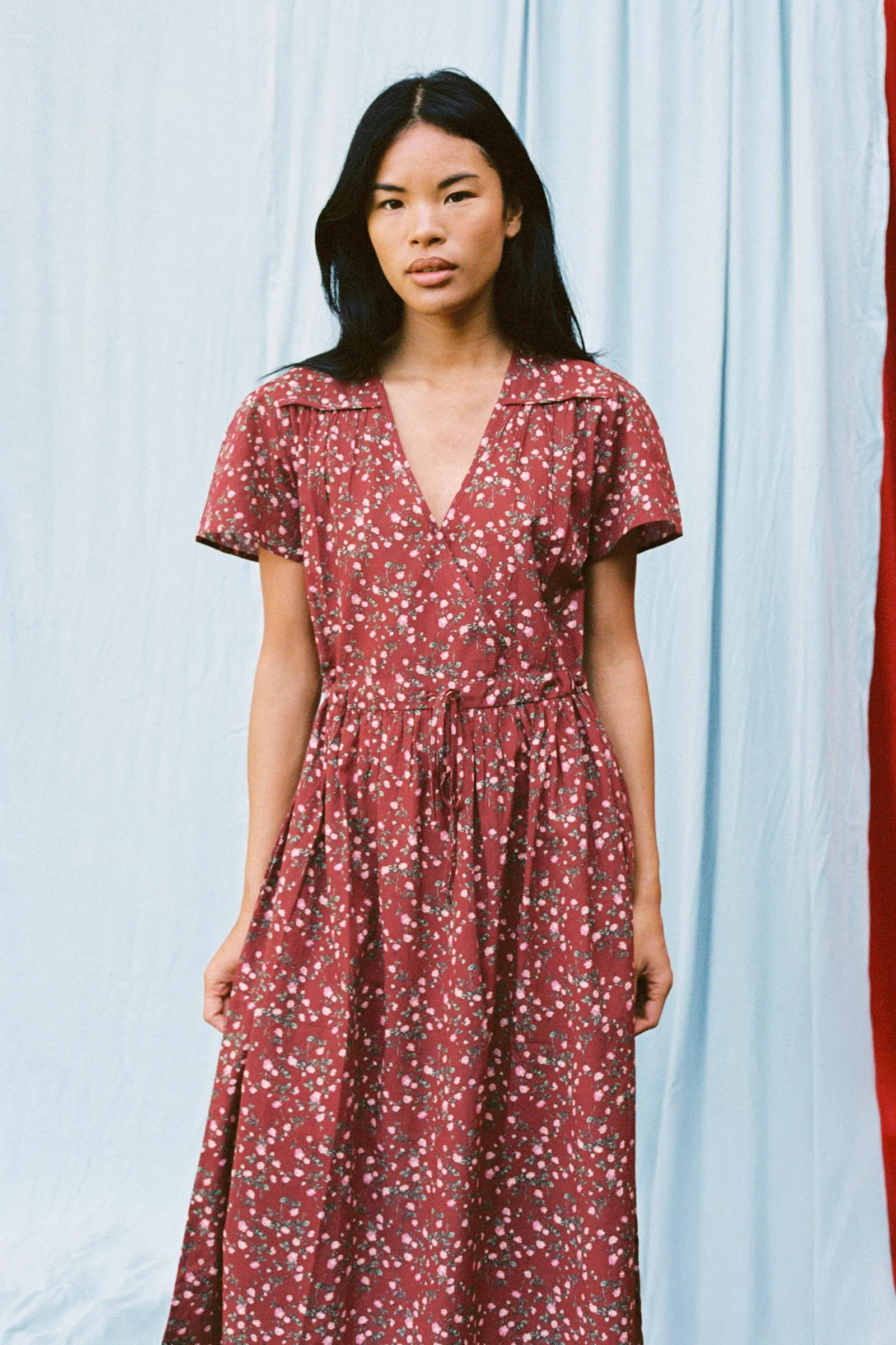 The Simple Dawn Dress | Rouge Rosette | Christy Dawn