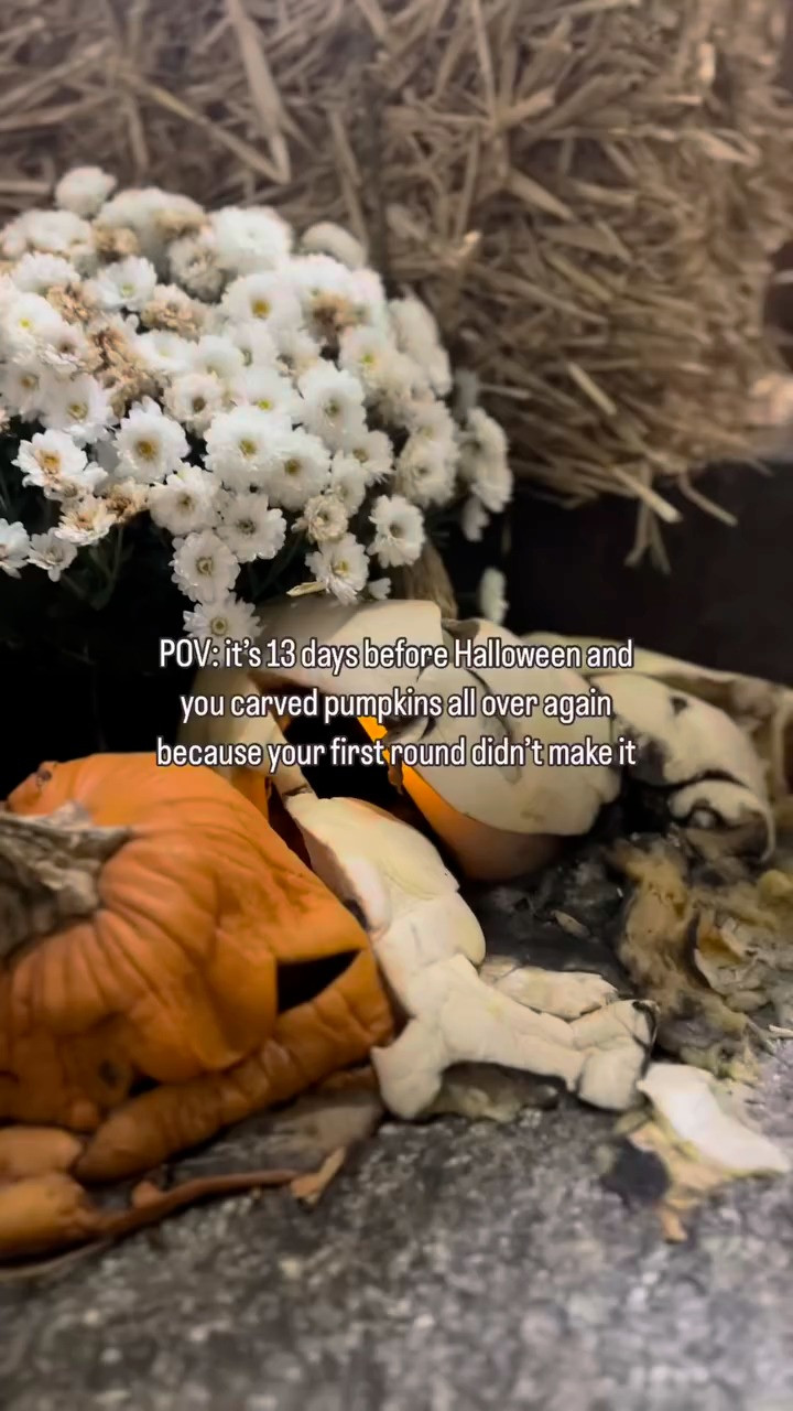 Our Halloween decorations are sad…

#LTKHome #LTKHalloween #LTKSeasonal