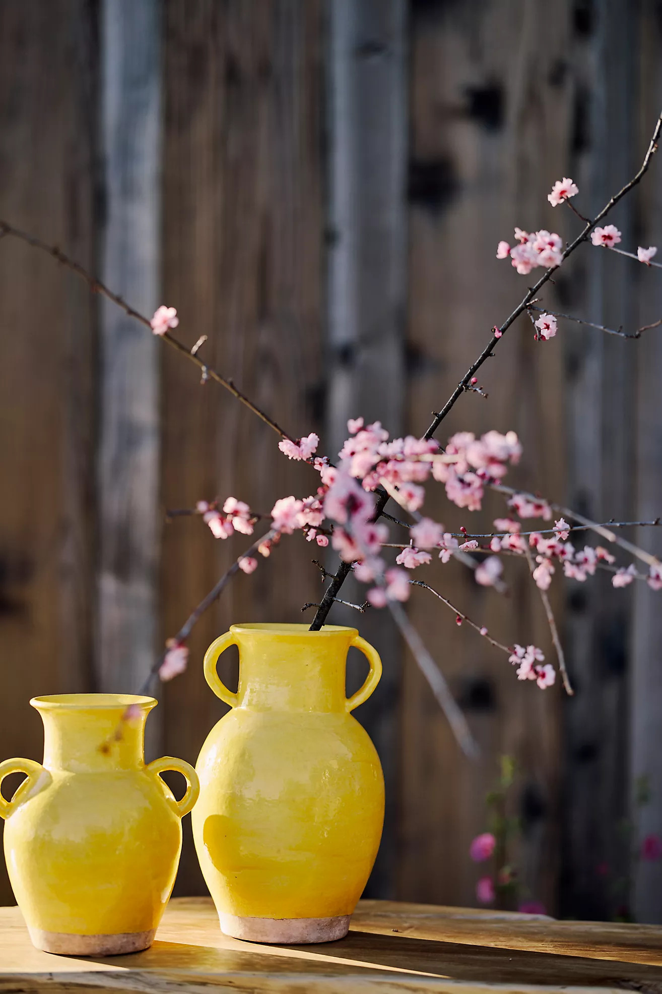 Yellow Terracotta Double Handle Vase | Anthropologie (US)