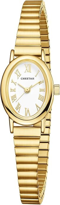 CHEETAH Dainty Gold Watches for Women, with Stainless Steel Expansion Band, Small Oval Case, Anal... | Amazon (US)