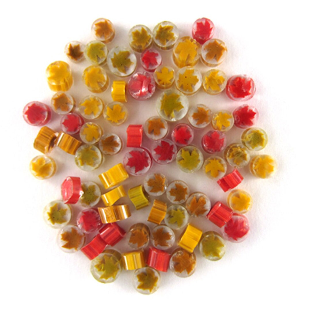 Autumn Leaves Assortment 0.5 Oz Precut 90 COE Fusable Glass - Etsy | Etsy (US)