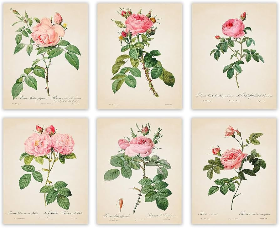 Vintage Pink Roses Botanical Wall Art - Give Your Home A Touch of Elegance With Plant Pictures Wa... | Amazon (US)