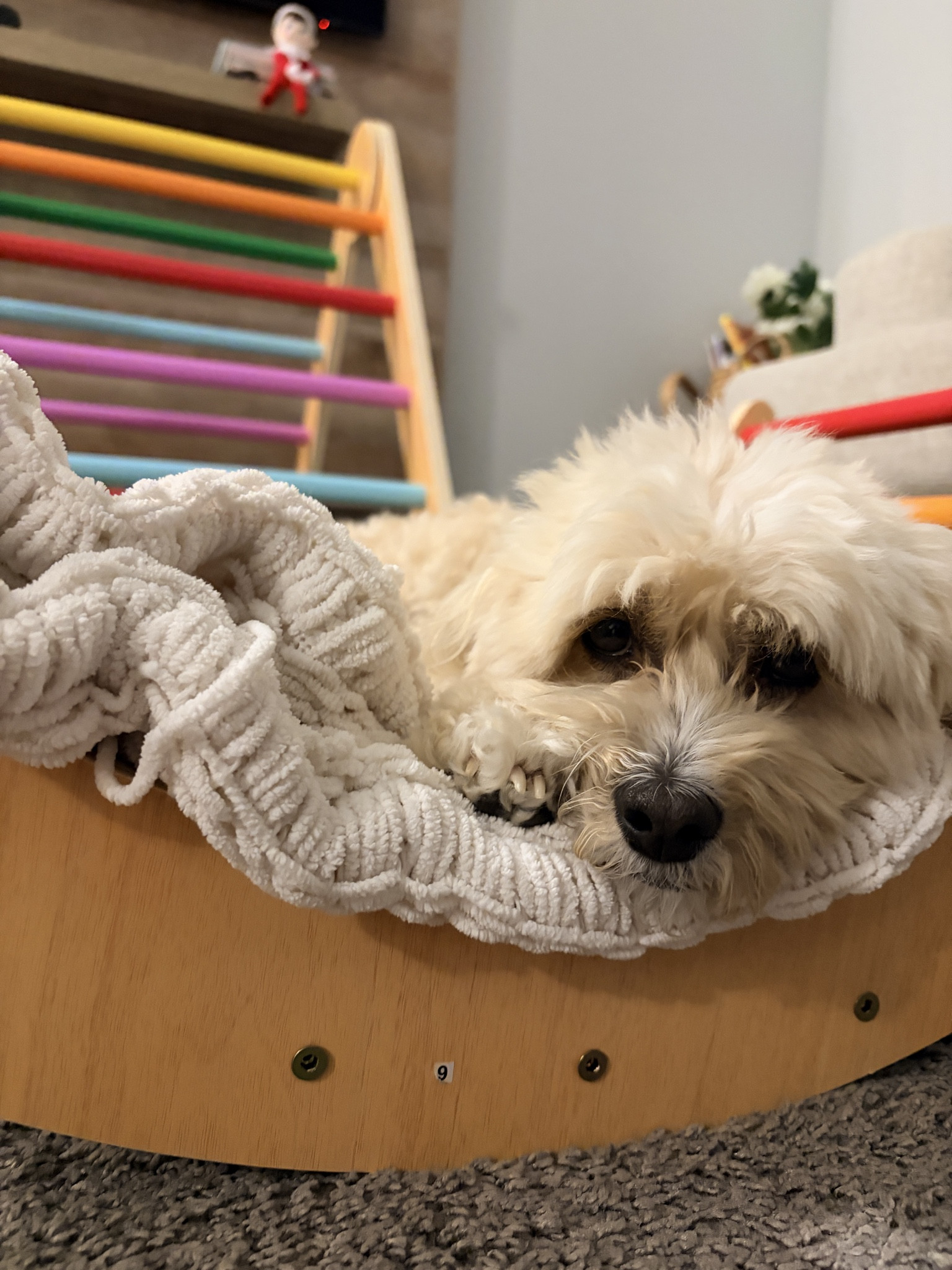 Built for toddlers but also enjoyed by pups 😆🐶

#LTKGiftGuide #LTKHoliday #LTKKids