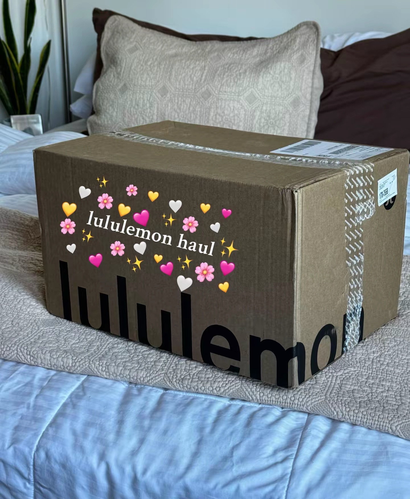 Lululemon haul 

Hoodie - m
Shorts - s
Pants - s
