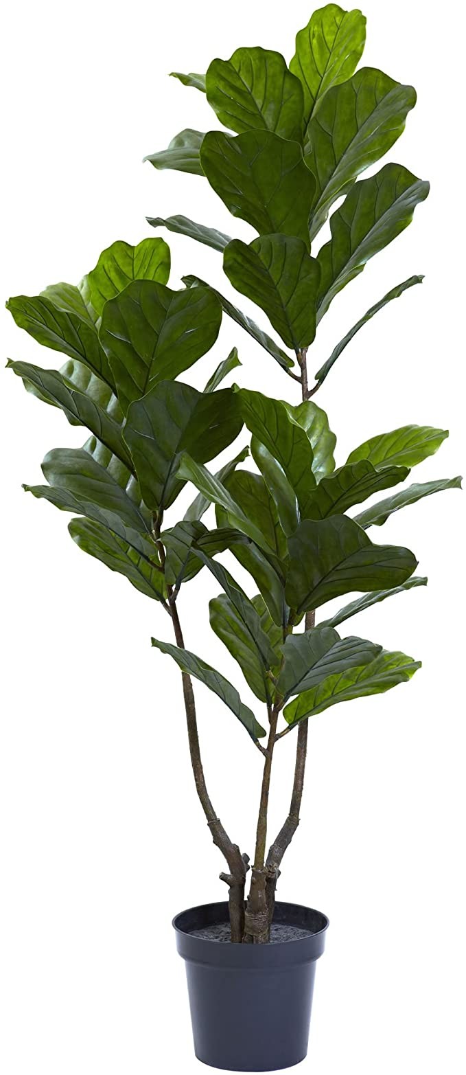 Nearly Natural 5449 65in. Fiddle Leaf Tree UV Resistant (Indoor/Outdoor) | Amazon (US)