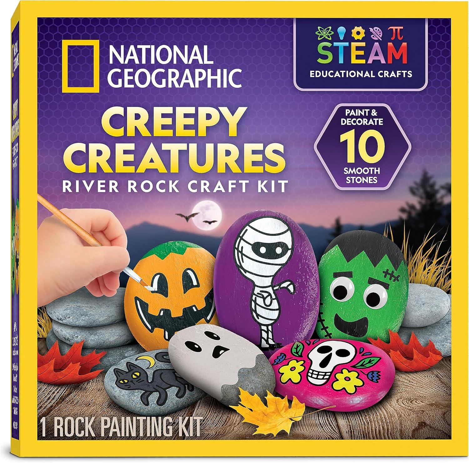 National Geographic Creepy Creatures Rock Painting Halloween Craft Kit | Amazon (US)