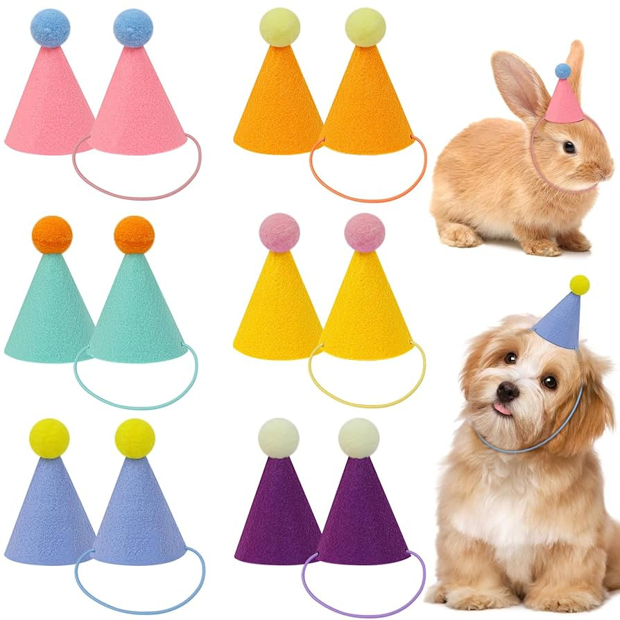 12pcs Mini Party Hats for Stuffed Animals, Birthday Party Cone Hats Dolls Dog Cat Rabbit Puppies ... | Amazon (US)