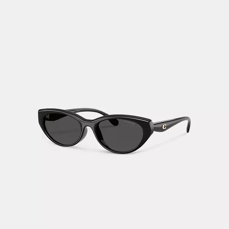 C Hardware Oval Cat Eye Sunglasses | Coach (US)
