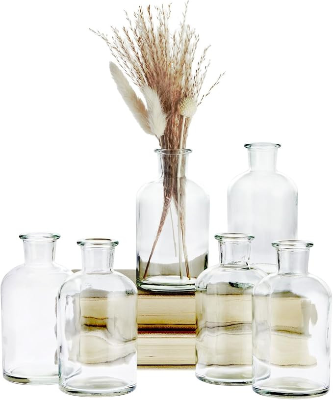 Farmlyn Creek Narrow Jar Vases - 2.8 in x 5 in, 7.5 oz, 6 Pack, Clear Glass - Apothecary-Style Ja... | Amazon (US)
