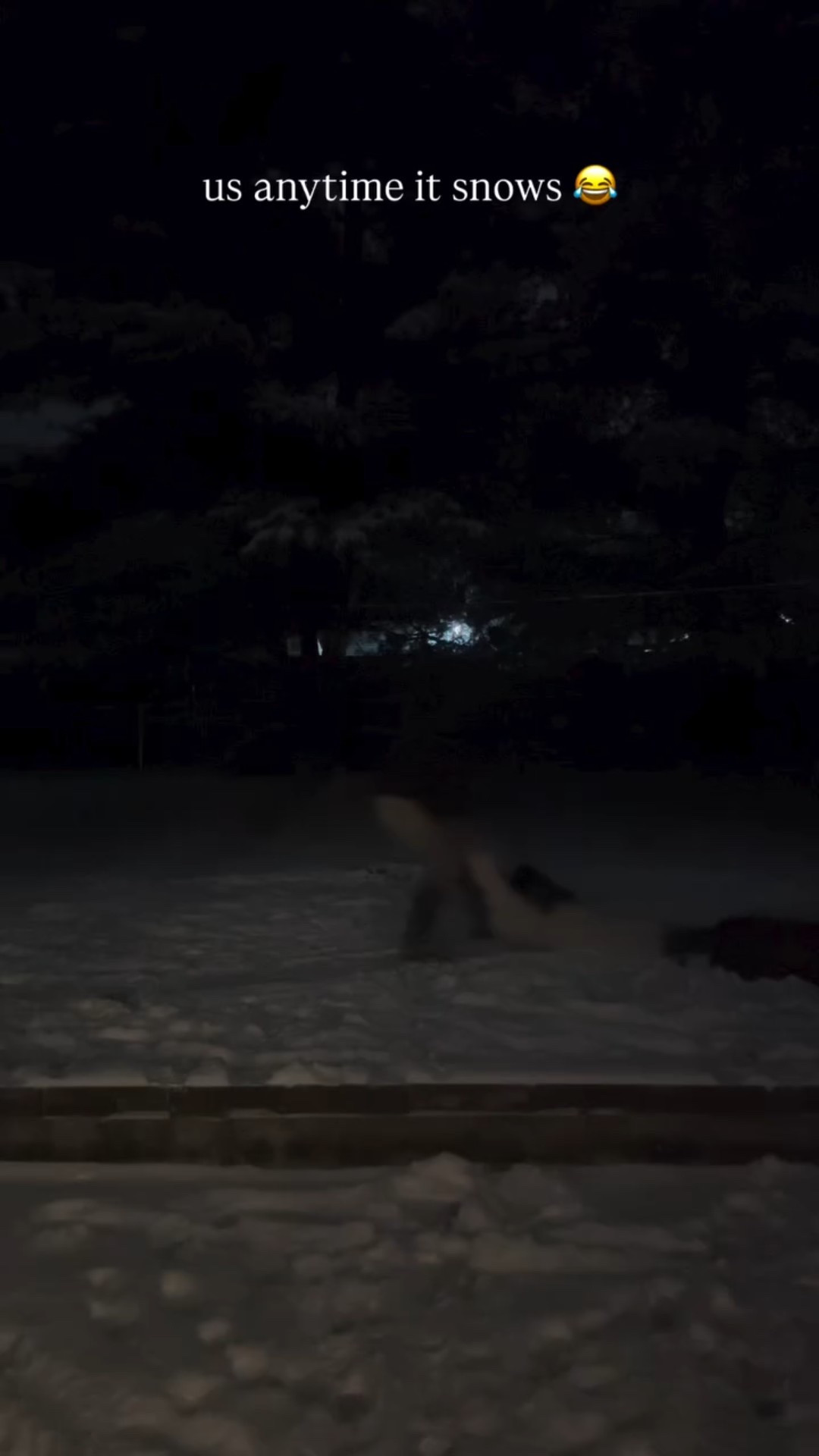 us anytime it snows 😂

#LTKootd #LTKdayinmylife #LTKgrwm