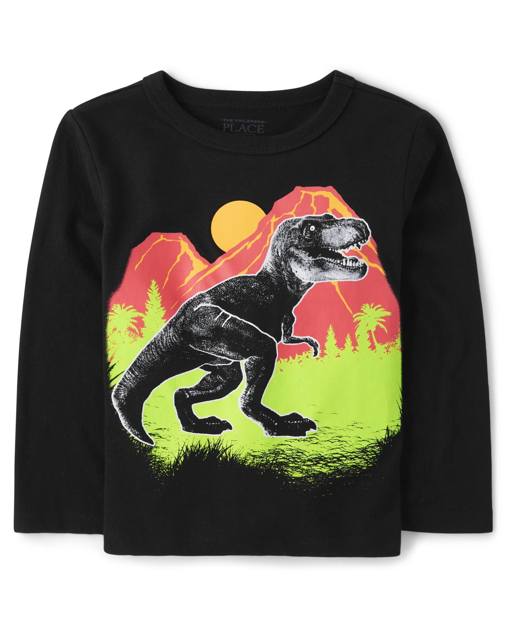 Baby And Toddler Boys T-Rex Graphic Tee - black | The Children's Place