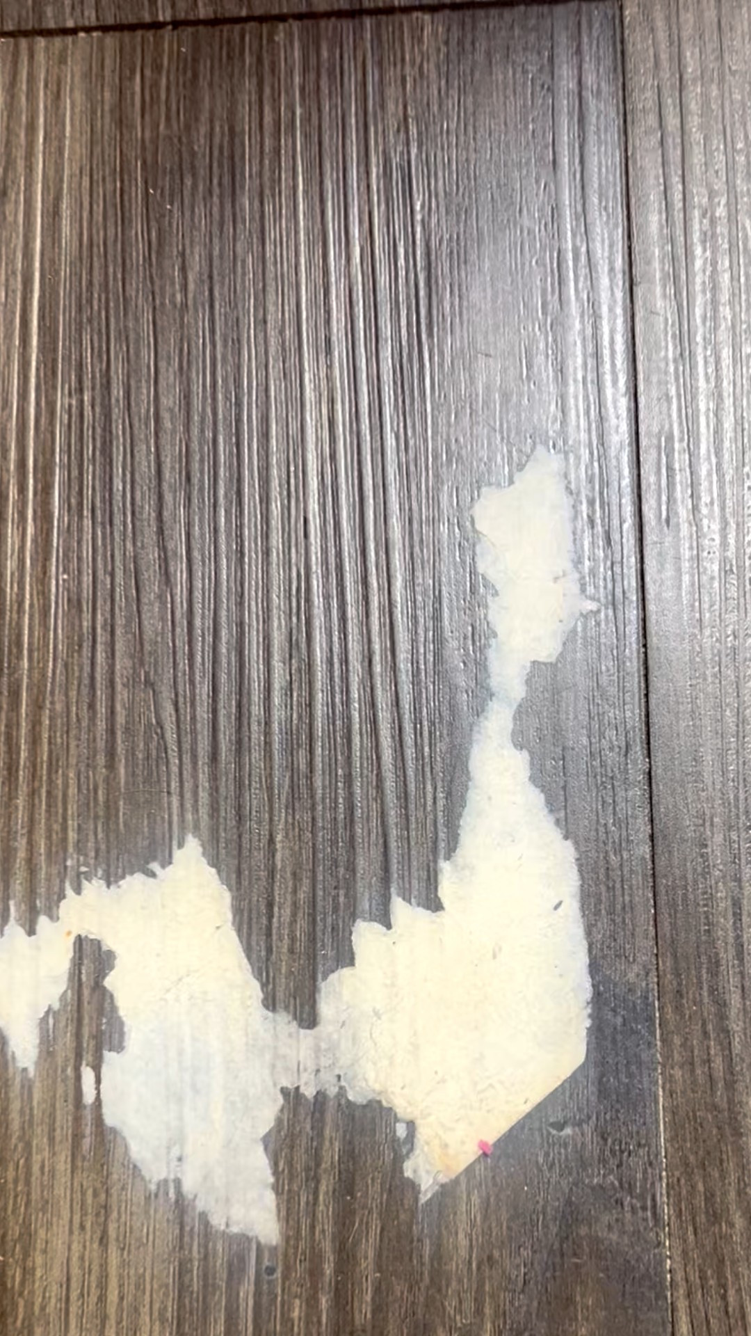 Stubborn sticker on the floor? 😅 Don’t scrape — try this simple hack with a paper towel! 🧻✨ Perfect for keeping your home (and your favorite finds!) clean and ready to enjoy. Shop more of my faves on LTK! #LifeHack #HomeTips #LTKFinds 

#LTKHome #LTKU