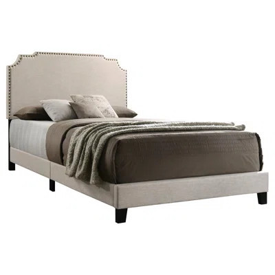 Transitional Beige Queen Bed With Soft Fabric And Nailhead Trim Elegant Panel - Ideal For Bedroom Decor | Wayfair North America