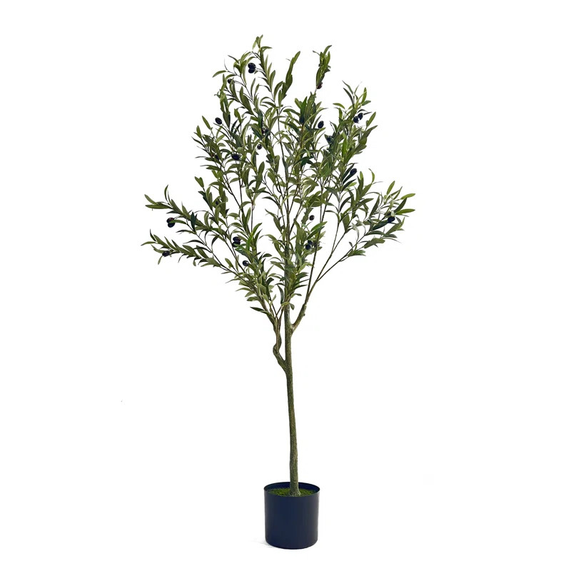 Aarav Faux Olive Tree Tree in Pot | Wayfair North America