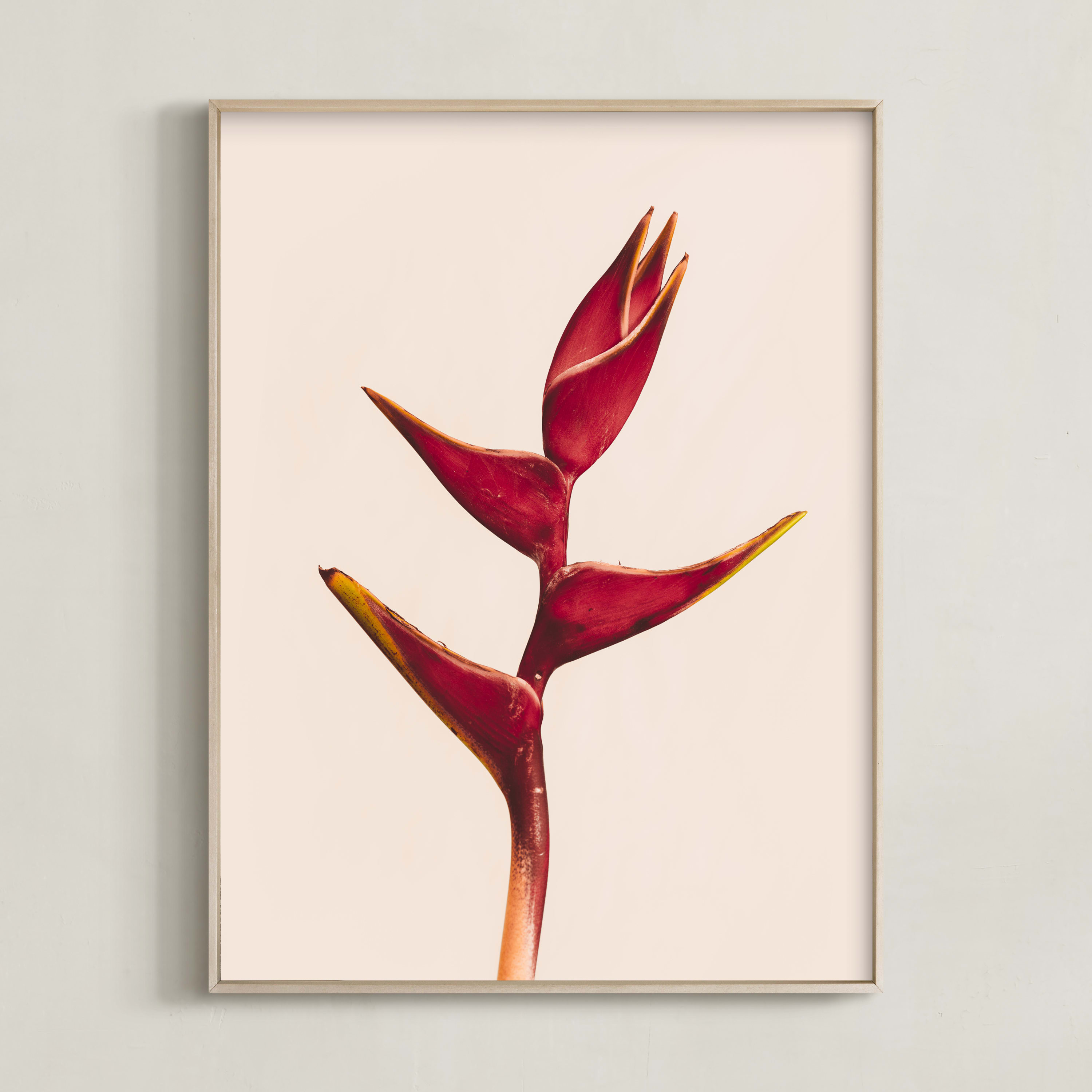 Limited Edition Art | Minted