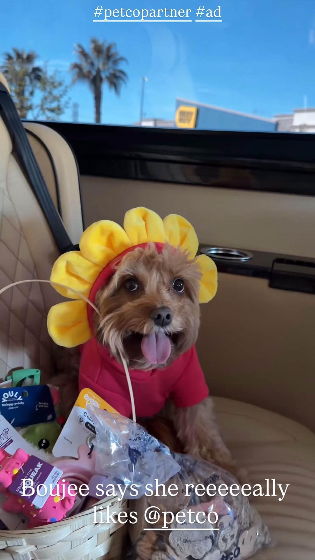 Our go-to for all things boujee = Petco 🐶✨
@petco 
#petcopartner
#ad 