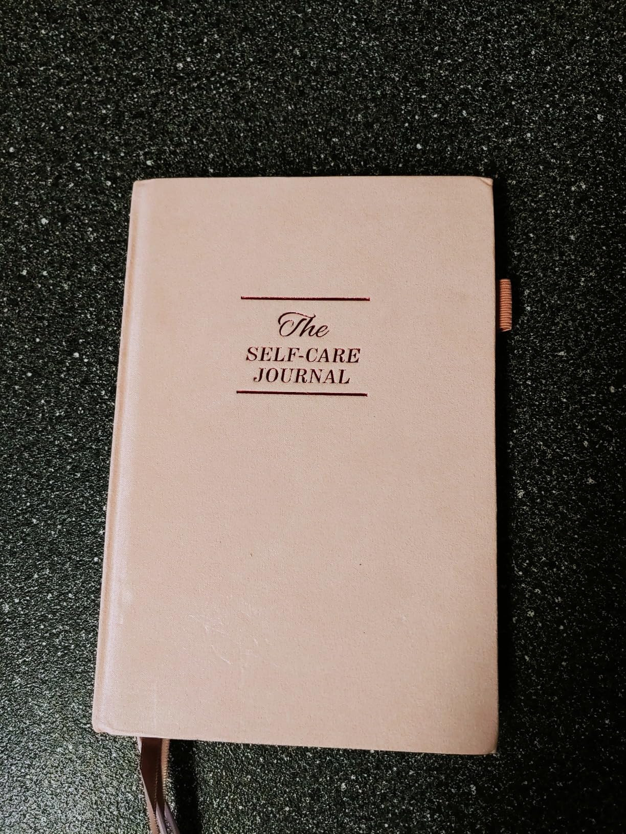 Self-Care Journal, Wellness & Daily Reflection Notebook – Gratitude Journal Guided Journal for Women – Self Care Planner, Mental Health Journal with Mood Tracker – A5 Size (Pink) | Amazon (US)