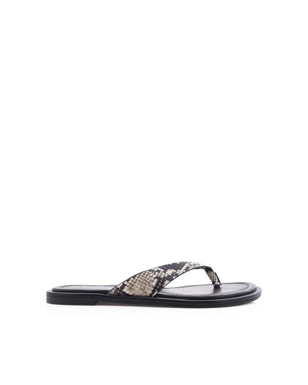 ZENOBIA - ECRU SNAKE - Sandals - Billini | Billini AU