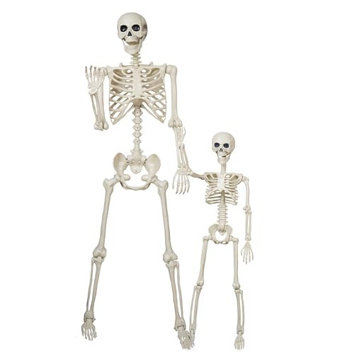 breesky Halloween Skeleton Model for Decoration: 5.4Ft Skeleton with 3Ft Skeleton with Movable Joints -Plastic Human Bones for Halloween Party, Yard Lawn Decoration | Amazon (US)