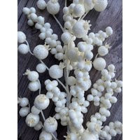 Berry Spray, White, Glitter Mix Crabapple Floral Stem, 28 | Etsy (US)