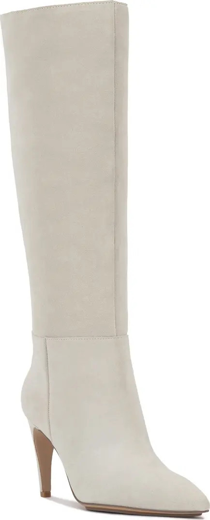 Brigitte Pointed Toe Knee High Boot (Women) | Nordstrom Rack