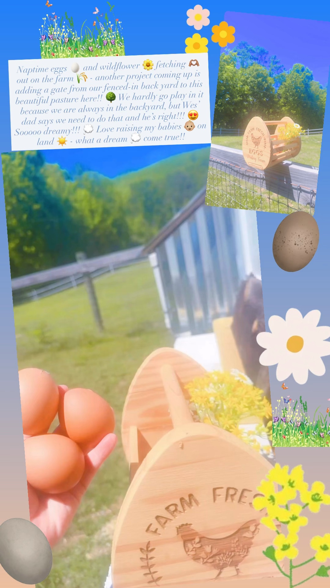 Naptime eggs 🥚 and wildflower 🌼 fetching 🫶🏽 out on the farm 🌾 - another project coming up is adding a gate from our fenced-in back yard to this beautiful pasture here!! 🌳 We hardly go play in it because we are always in the backyard, but Wes’ dad says we need to do that and he’s right!!! 😍 Sooooo dreamy!!! 💭 Love raising my babies 👶🏼 on land ☀️ - what a dream 💭 come true!! 