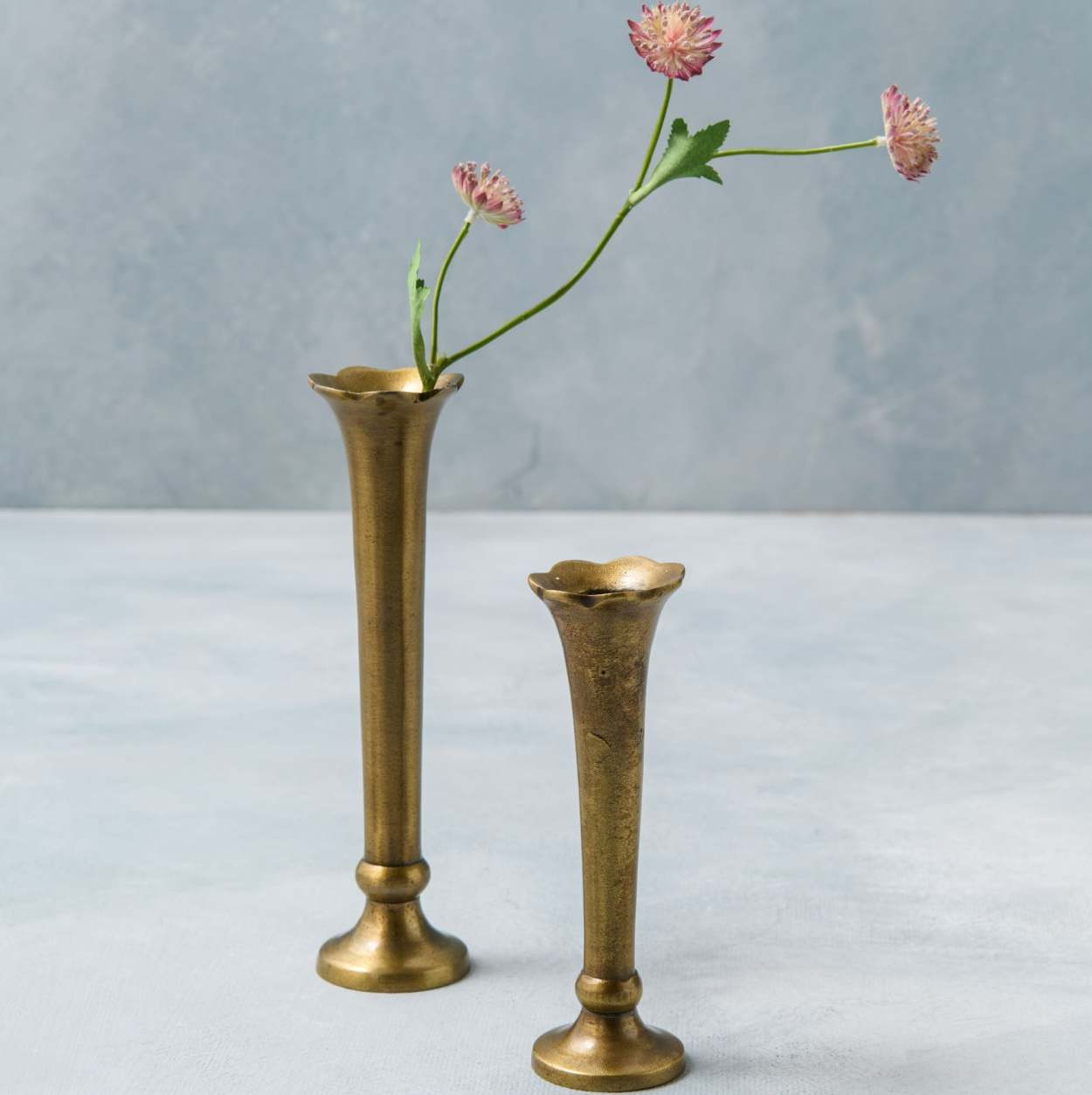 Flannery Scalloped Brass Bud Vase | Magnolia