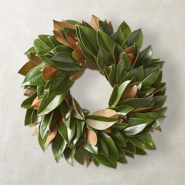 Magnolia Wreath | Williams-Sonoma