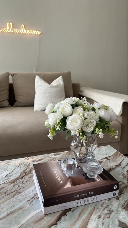Living room inspo, coffee table inspo, artificial flowers, coffee table books, neutral decor, aestethics, home decor

#LTKFindsUnder50 #LTKFindsUnder100 #LTKHome