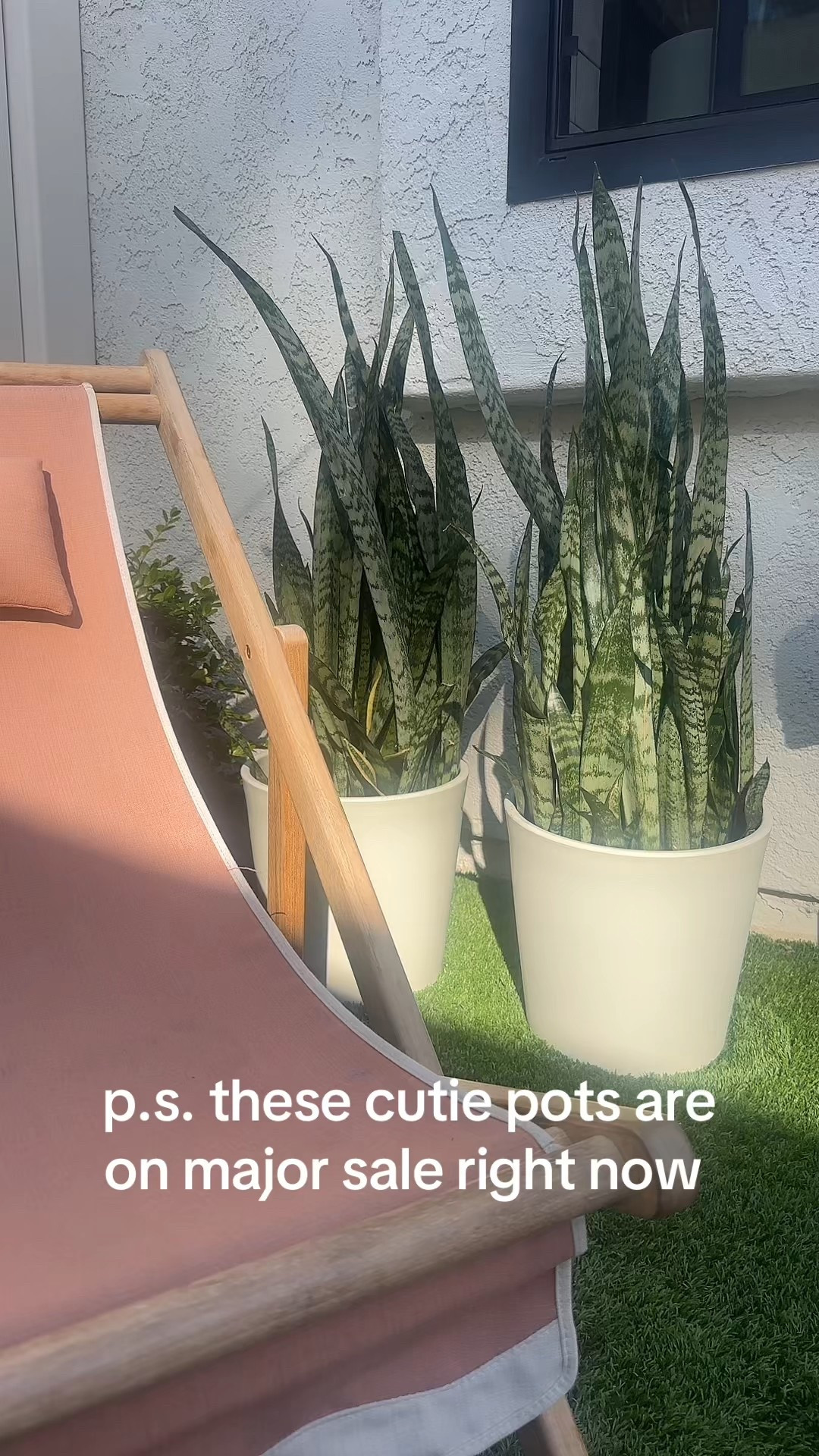ran to target and found these cute little pots for $9 each!! Our little courtyard is getting a makeover!! #patiomakeover #snakeplants #summervibes #fyp #targetfinds #target 

#LTKFindsUnder50 #LTKHome #LTKSeasonal