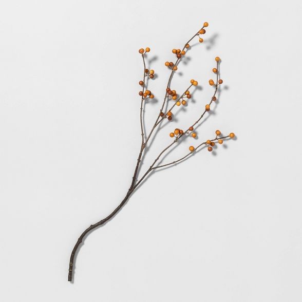 26" Faux Orange Berry Stem - Hearth & Hand™ with Magnolia | Target