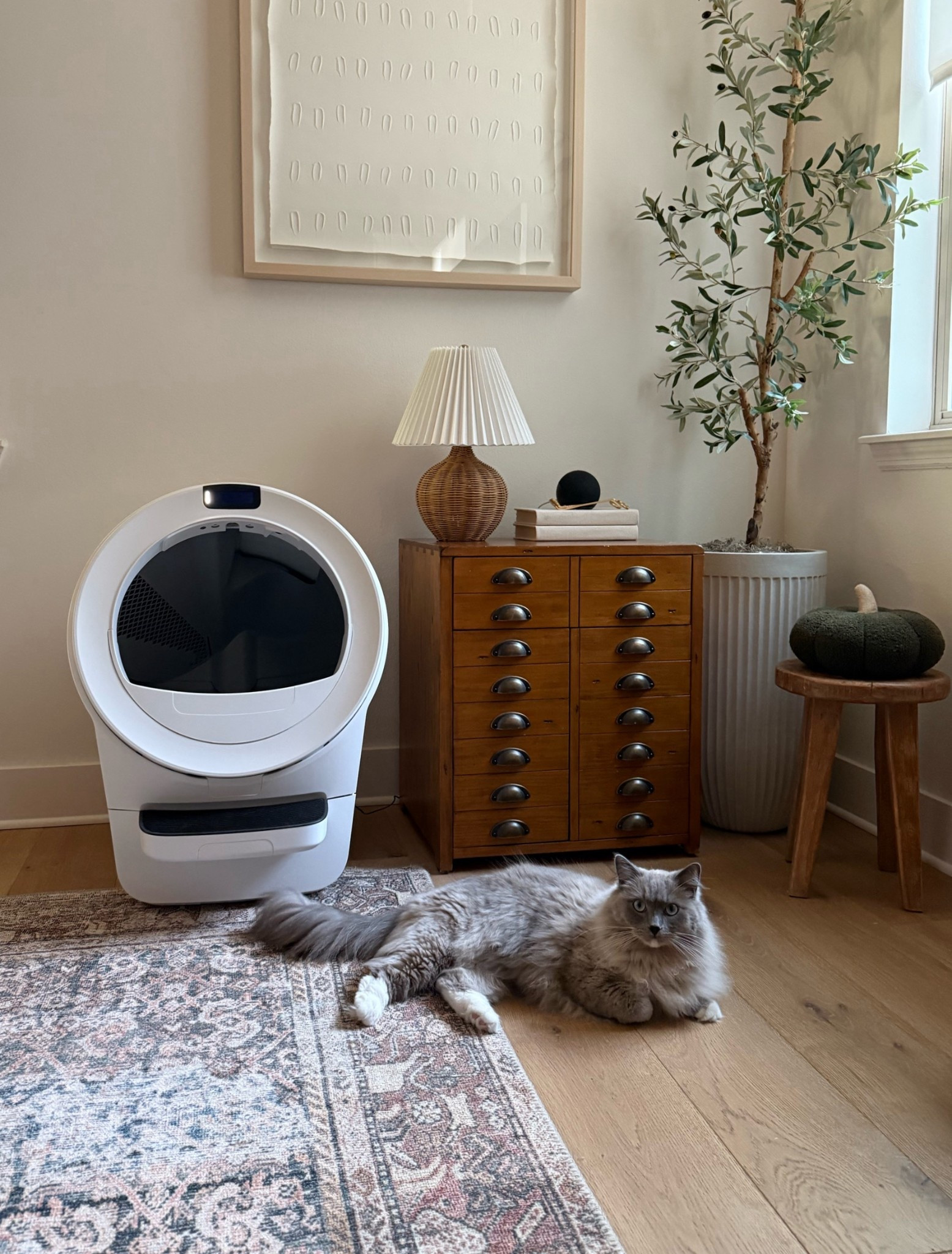 Litter-Robot 5

#LTKPets