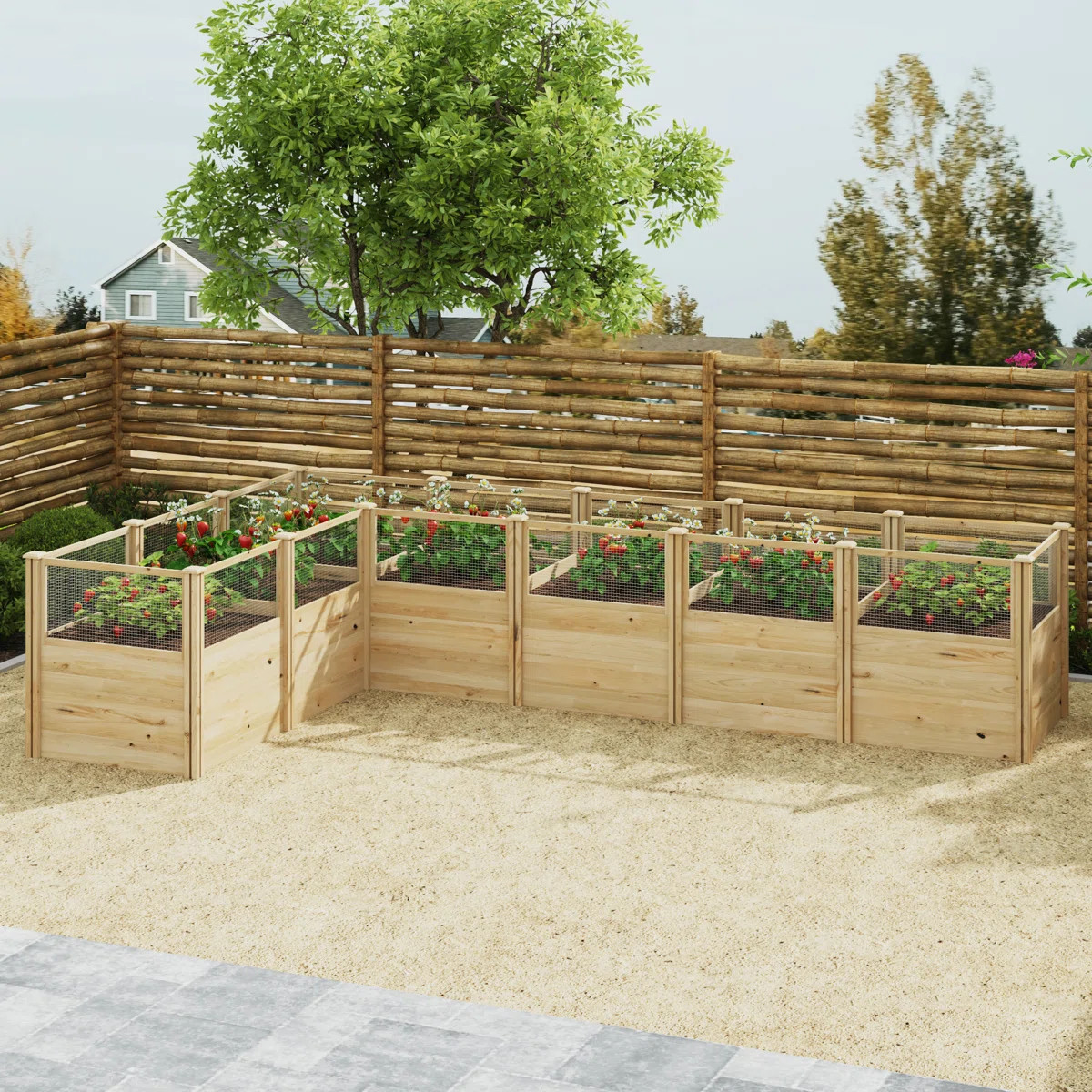 Modular Cedar Raised Garden Bed – No-Screw Design With Animal Fencing & Better Drainage | Wayfair North America
