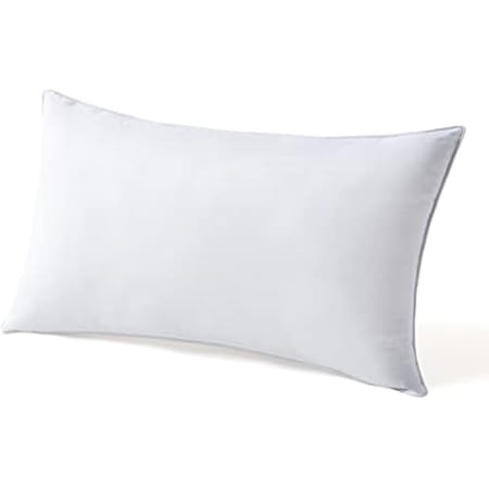 MIULEE Throw Pillow Insert Hypoallergenic Premium Pillow Stuffer Sham Rectangle for Decorative Cushi | Amazon (US)