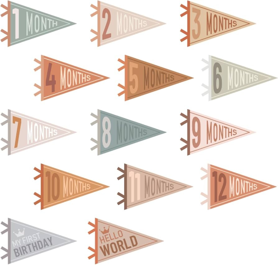 VitalCozy 14 Pcs Baby Felt Pennant Milestone Signs Monthly Milestone Banner Flags Pennant Triangl... | Amazon (US)