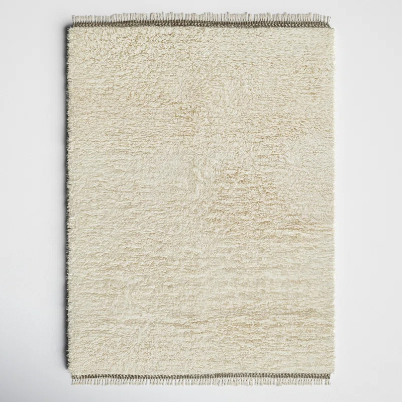 Astell Wool Rug | Joss & Main