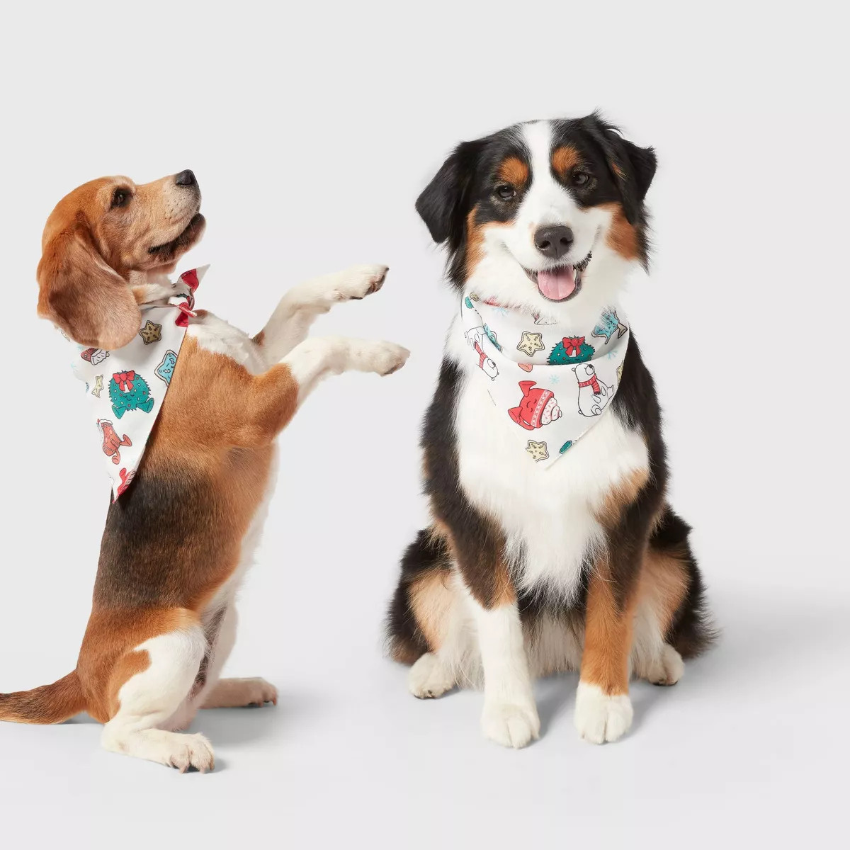 Plush Print Matching Family Pajama Flannel Dog and Cat Bandana - Wondershop™ White One Size Fit... | Target