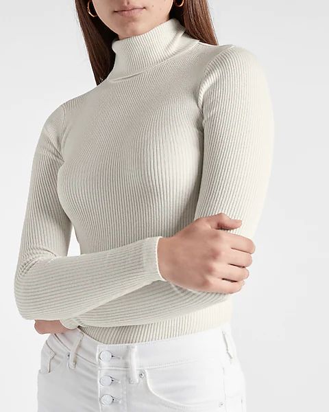 Ribbed Fitted Turtleneck Sweater | Express