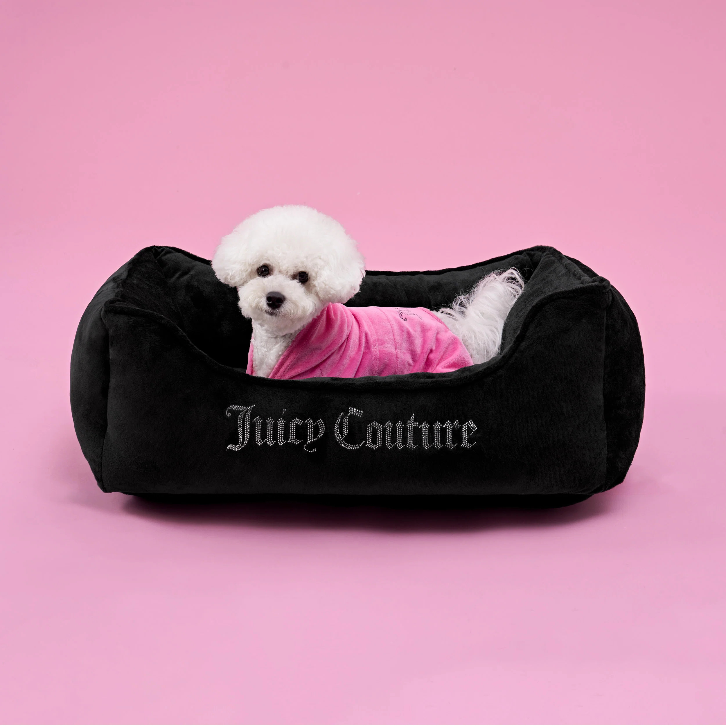 Juicy Couture Bling And Crown Pet Bed | Wayfair North America