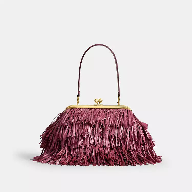 Kisslock Frame Bag 27 | Coach (US)
