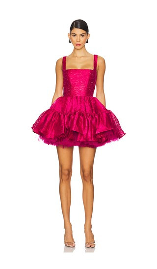 Tiara Mini Dress in Burgundy | Revolve Clothing (Global)