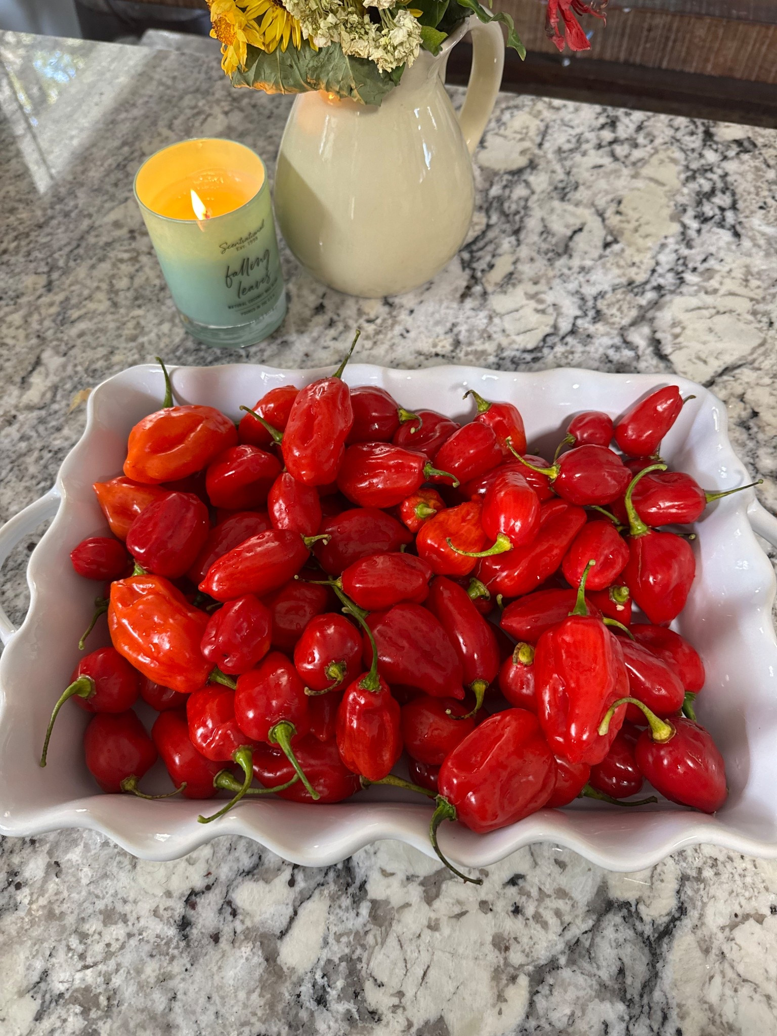 Scalloped casserole Thanksgiving baking 

#LTKGiftGuide #LTKHoliday #LTKSeasonal