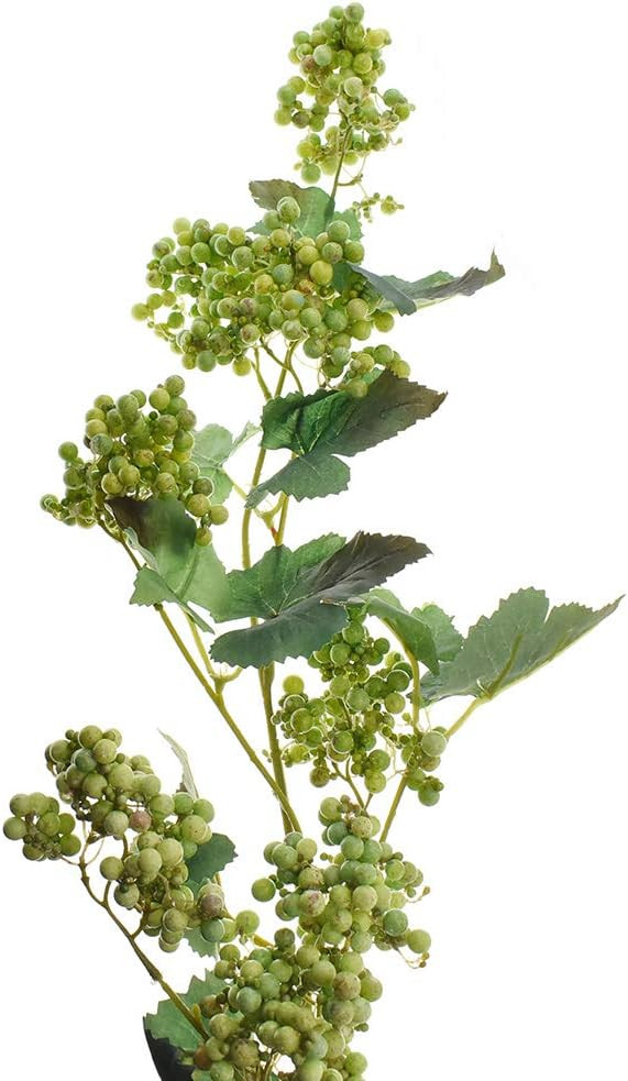 Homeford Artificial Hanging Berries and Leaves Spray, 60-Inch (Green) | Amazon (US)