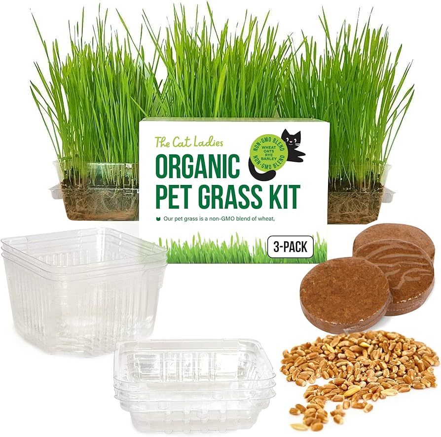 The Cat Ladies Cat Grass Growing Kit -Organic Seed, Soil and BPA Free containers (Non GMO).Locall... | Amazon (US)