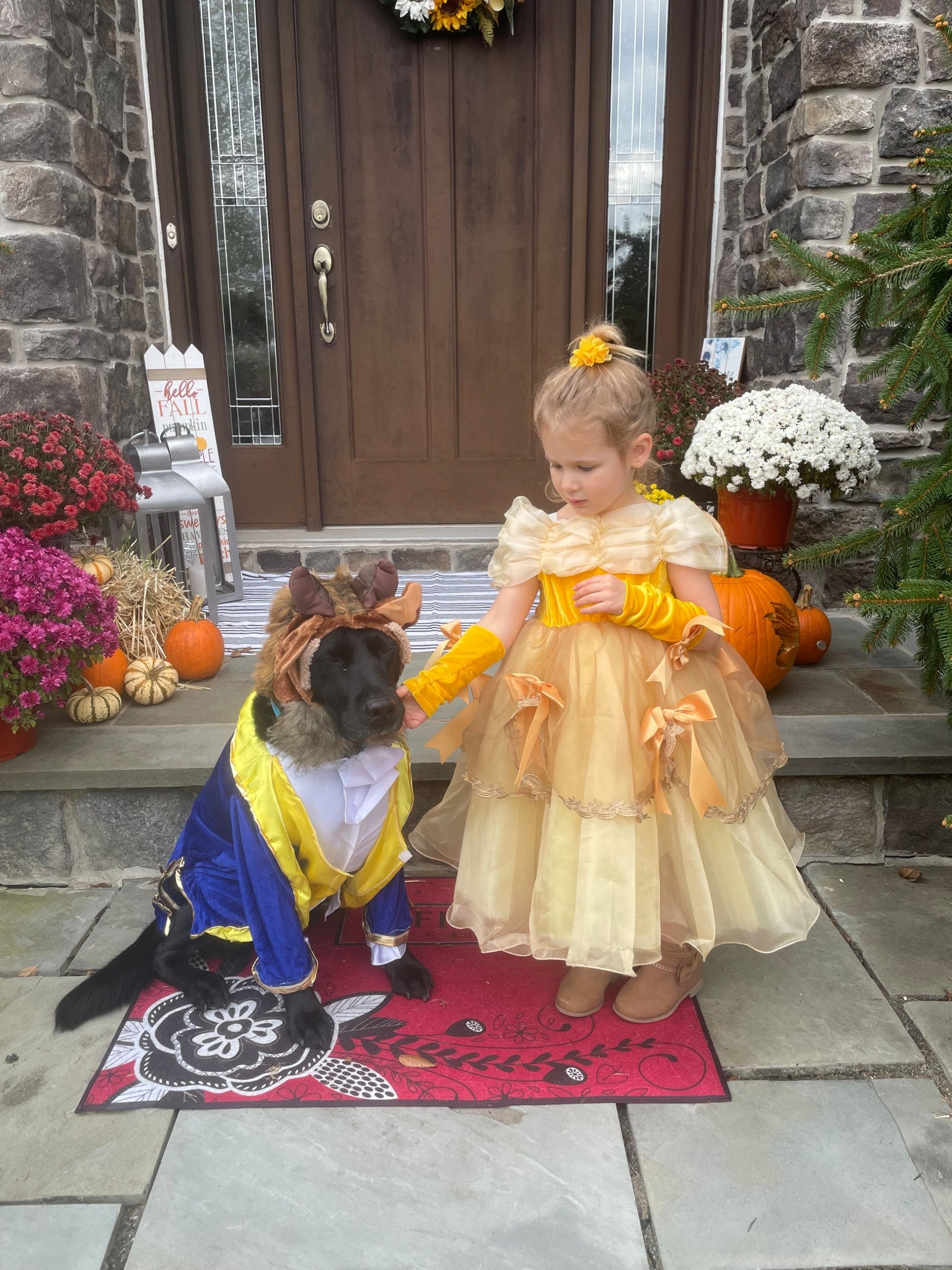Beauty and the Beast, because every little girl loves playing dress up

#ltkhalloween #ltktoddler #ltkcostume

#LTKBaby #LTKKids #LTKFindsUnder50