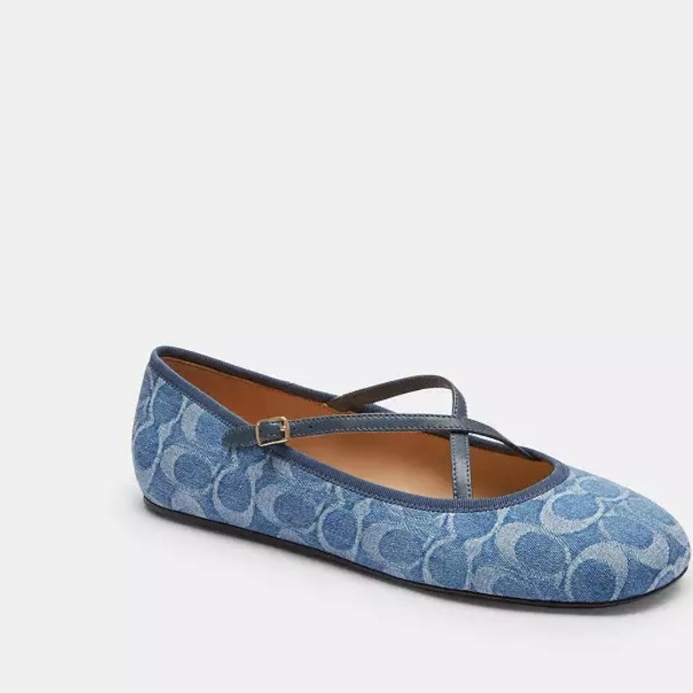 30% off Coach ballet flats.#coach #ballet #giftguide

#LTKSaleAlert